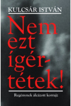 Nem ezt ígértétek! - Regénynek álcázott korrajz