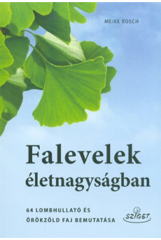 Falevelek életnagyságban /64 lombhullató és örökzöld faj bemutatása