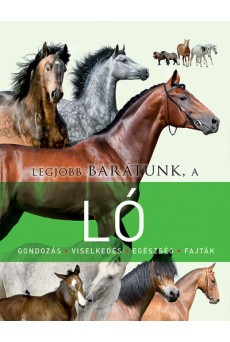 Legjobb barátunk a ló - Legjobb barátunk...