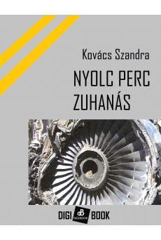 Nyolc perc zuhanás (e-könyv)