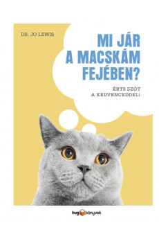 Mi jár a macskám fejében? - Érts szót a kedvenceddel!