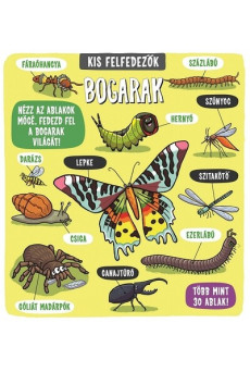 Kis felfedezők - Bogarak