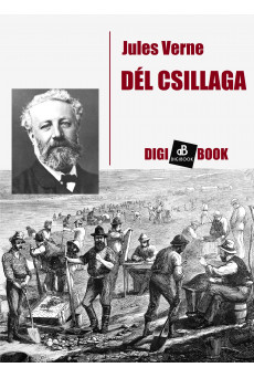 Dél csillaga (e-könyv)