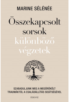 Összekapcsolt sorsok különböző végzete (e-könyv)