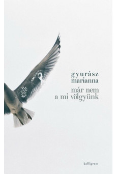 Már nem a mi völgyünk