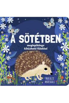 A sötétben - Meglepikönyv kihúzható fülekkel