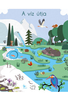 A víz útja - A természet körforgása