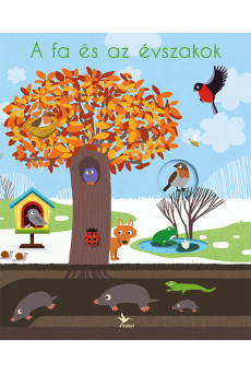 A fa és az évszakok - A természet körforgása