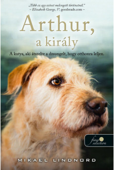 Arthur, akirály - a kutya, aki átszelte a dzsungelt, hogy otthonra leljen