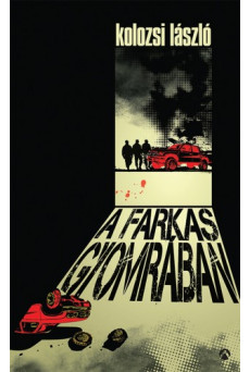 A farkas gyomrában (e-könyv)