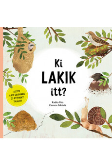 Ki lakik itt? - Segíts a kis csigának új otthont találni!