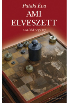 Ami elveszett (e-könyv)