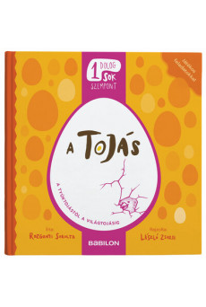 A tojás - A tyúktojástól a világtojásig - Egy dolog, sok szempont