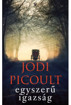 Egyszerű igazság (e-könyv)