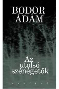 Az utolsó szénégetők (e-könyv)