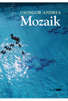 Mozaik (e-könyv)