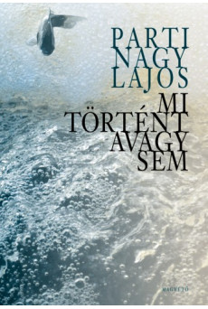 Mi történt avagy sem (e-könyv)