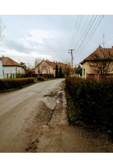 Új fiú költözött az utcába (e-könyv)