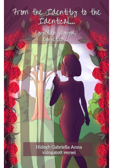 From the Identity to the Identical... (e-könyv)