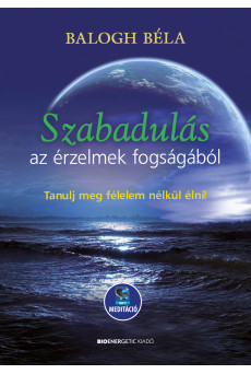 Szabadulás az érzelmek fogságából (e-könyv)