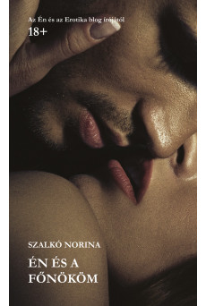 Én és a főnököm (e-könyv)