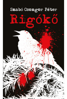 Rigókő (e-könyv)
