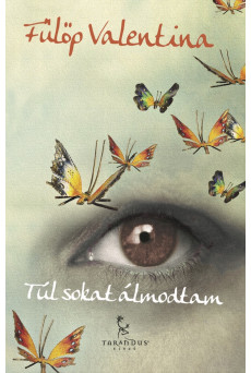 Túl sokat álmodtam (e-könyv)