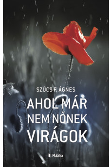 Ahol már nem nőnek virágok (e-könyv)