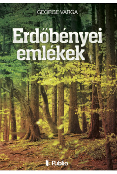 Erdőbényei emlékek (e-könyv)