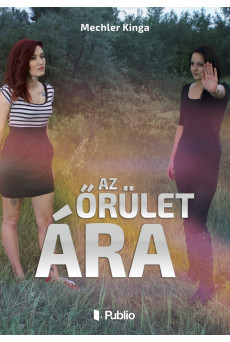 Az őrület ára (e-könyv)
