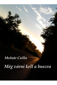 Még várni kell a buszra (e-könyv)