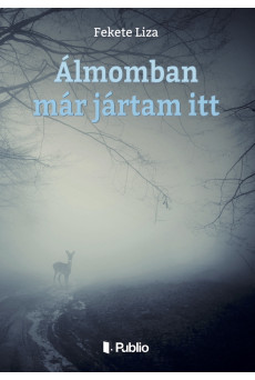 Álmomban már jártam itt (e-könyv)