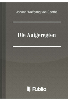 Die Aufgeregten (e-könyv)