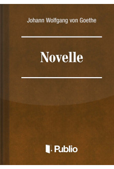 Novelle (e-könyv)