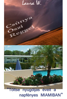 Csúnya őszi reggel Töltse nyugdíjas éveit a napfényes Miamiban. (e-könyv)