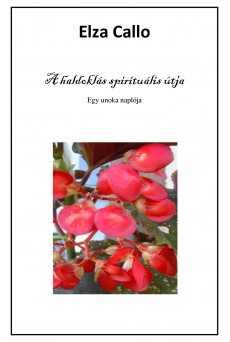 A haldoklás spirituális útja (e-könyv)