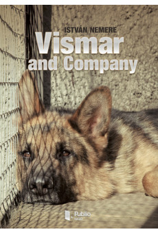 Vismar and Company (e-könyv)