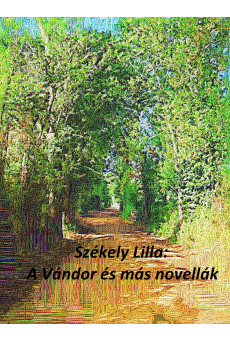 A vándor és más novellák (e-könyv)