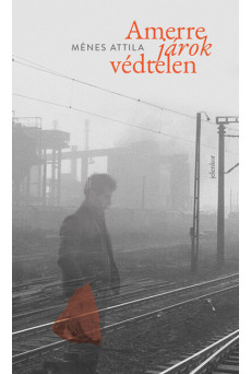 Amerre járok védtelen