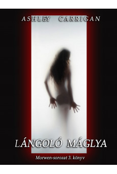 Lángoló máglya (e-könyv)