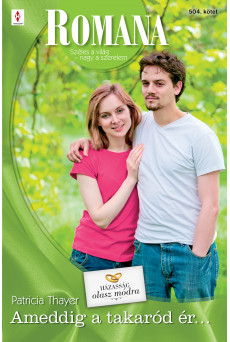Romana 504. (e-könyv)