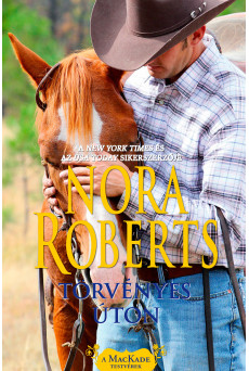 Törvényes úton (e-könyv)