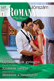 Romana különszám 91. (e-könyv)