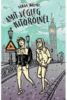 Amit végleg kitörölnél (e-könyv)