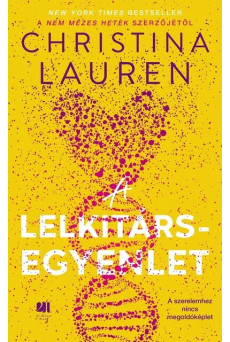 A lelkitárs-egyenlet