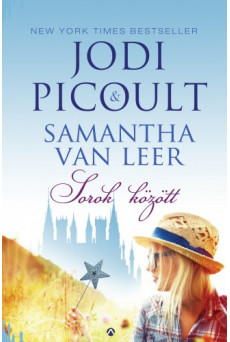 Sorok között (e-könyv)