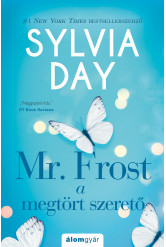 Mr. Frost - A megtört szerető (e-könyv)