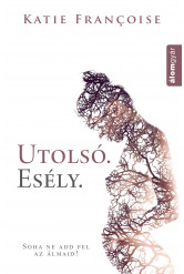 Utolsó esély (e-könyv)