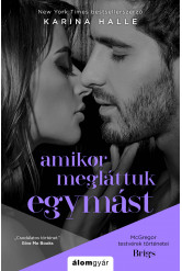 Amikor megláttuk egymást (e-könyv)