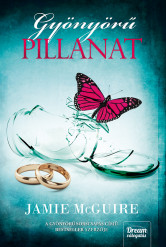 Gyönyörű pillanat (e-könyv)